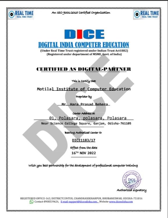 DIGITAL PARTNER
